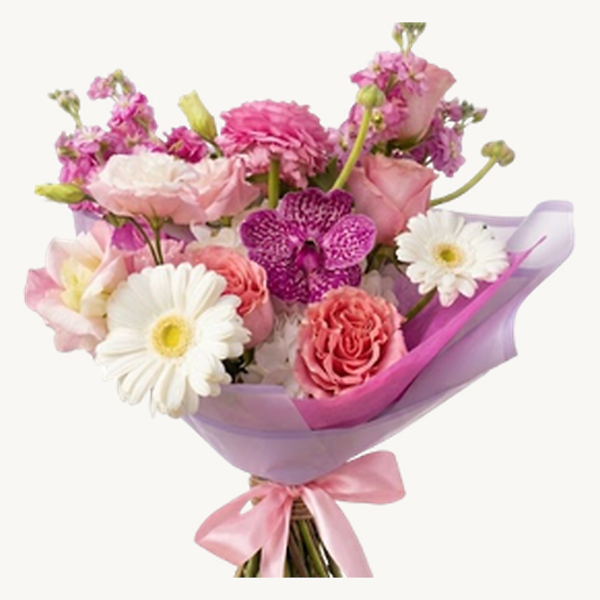 Soft Delight - Image 2