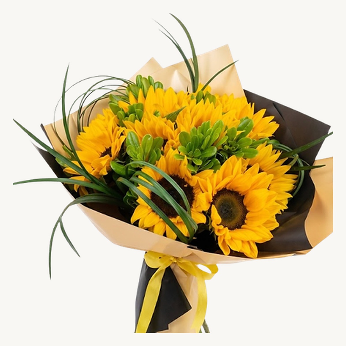 Sunshine - Image 2