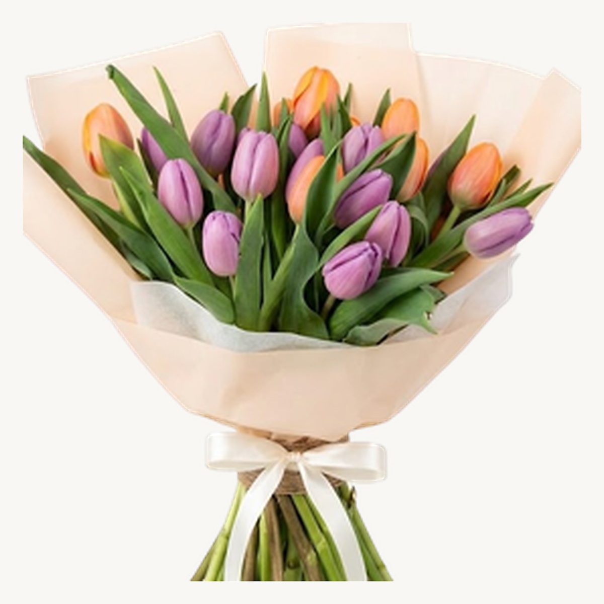 Tulip Symphony - Image 2